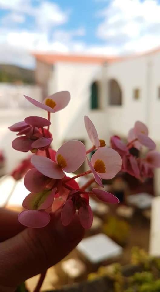 Hotel Casablanca Самайпата Екстериор снимка